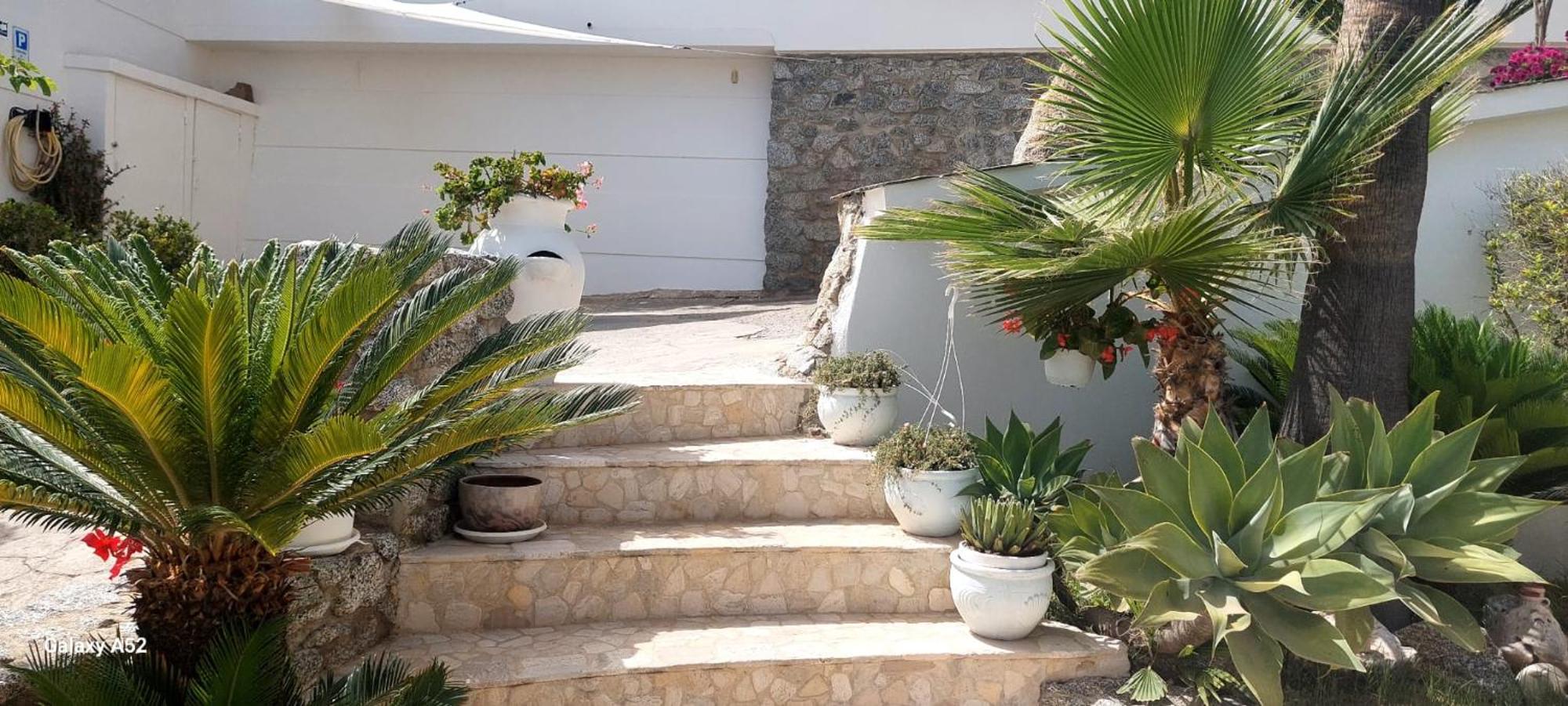 Villa Anna Maria Capo Vaticano Exterior photo