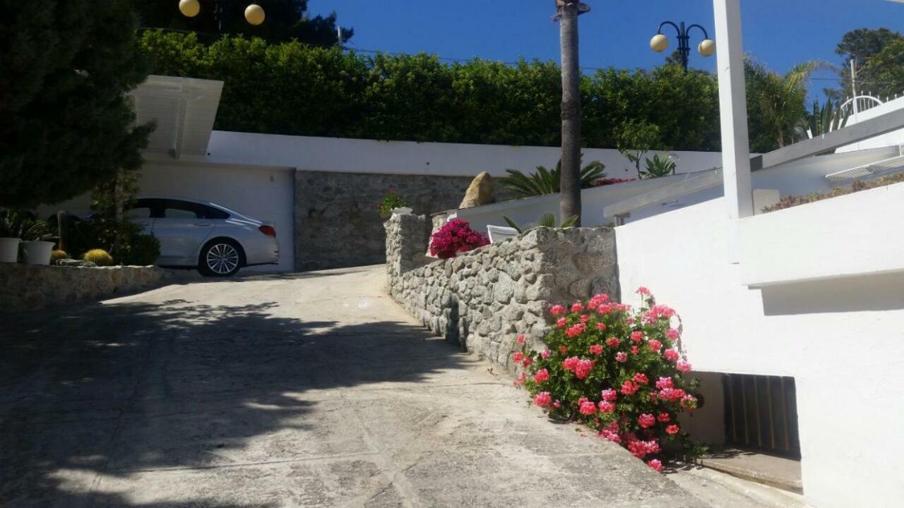 Villa Anna Maria Capo Vaticano Exterior photo